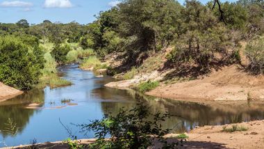 A river winding through a natural landscape, surrounded by green trees, shrubs and sandy banks under a clear blue sky.
