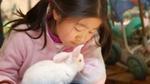 A young girl with black hair tied in bunches gazes at a small white rabbit.