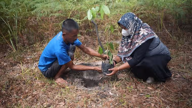 A man and a woman plant a seedling in rough soil