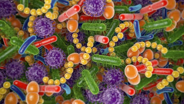 A colourful image of the skin microbiome as viewed through a microscope.