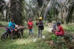 Four workers discuss field operations