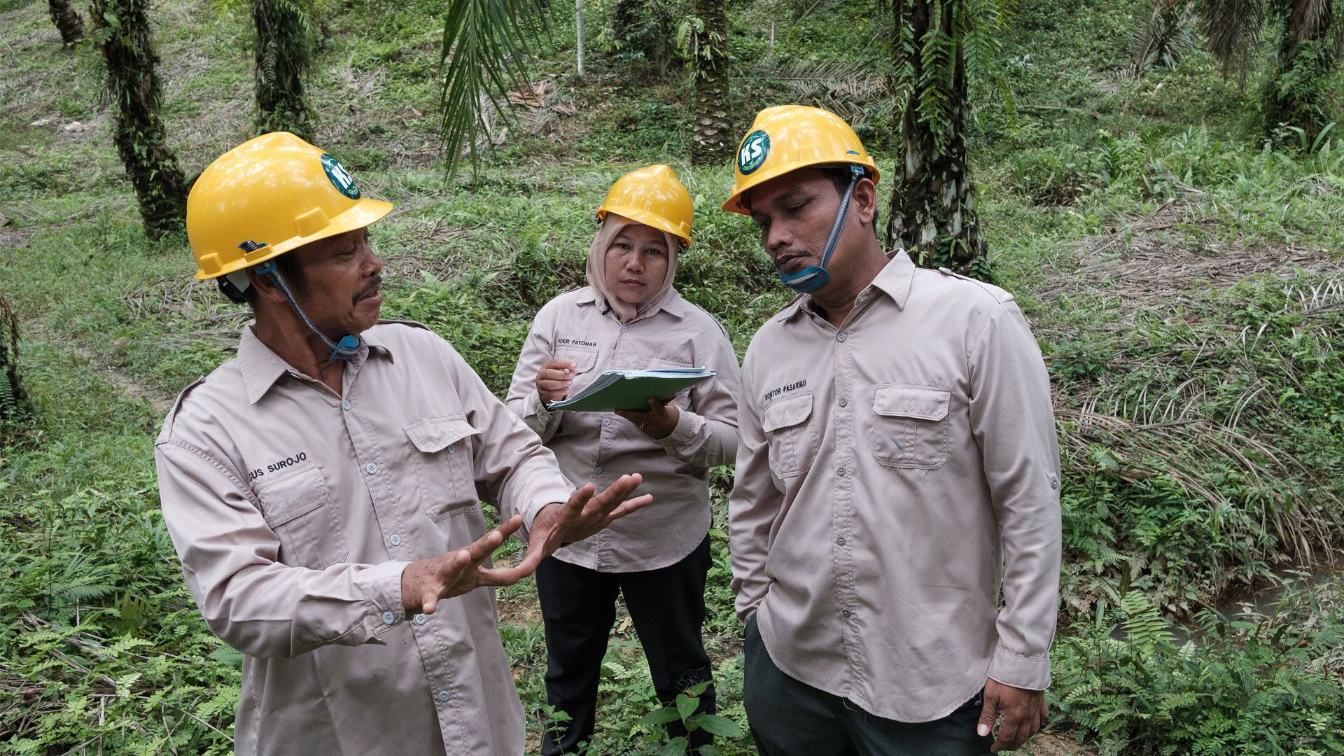 Three workers in hard hats discussing in a forest.