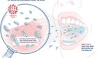 A diagram illustrating how the virus that causes Covid-19 is spread