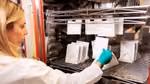 Female Unilever materials scientist examining paper packaging samples in an R&D lab