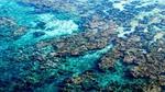 a view of an unpolluted sea bed
