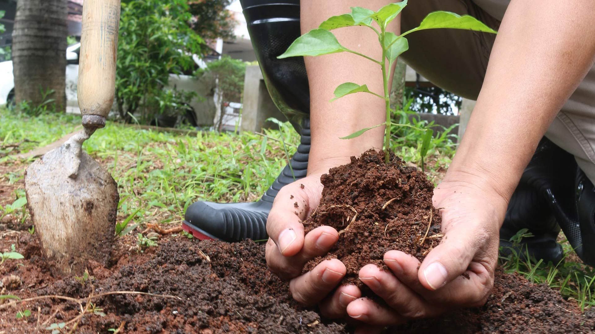 planting with bare hands