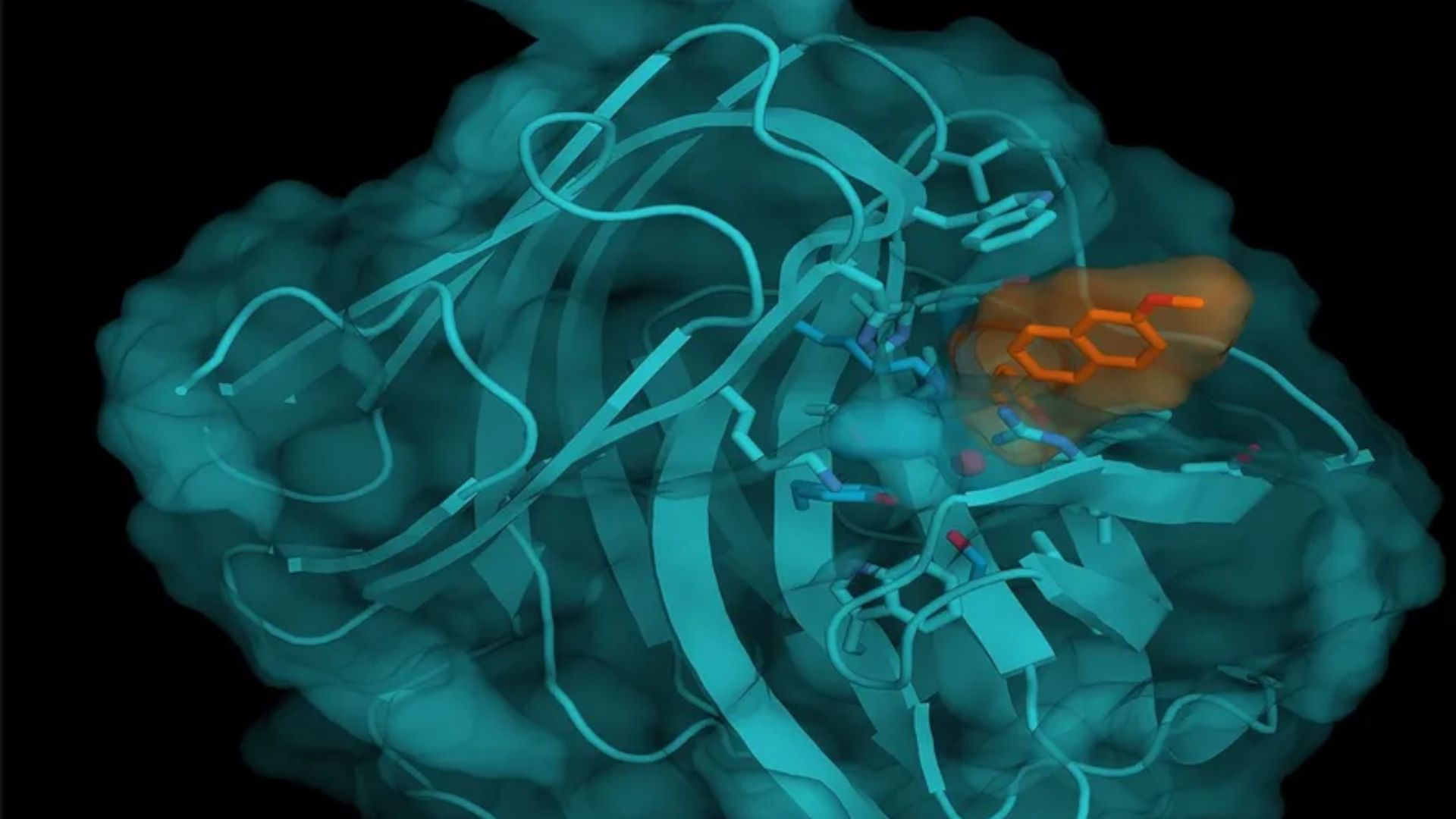 Illustration of an enzyme