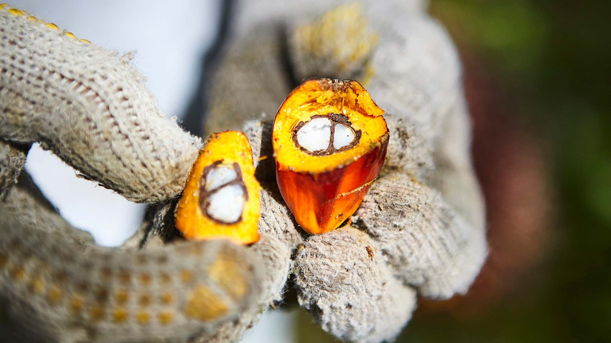 FID - Marc Engel quote