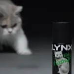 A can of Lynx Cat Nip deodorant stands in the foreground on a dark surface, while a cat in the background reaches a paw forward toward it.