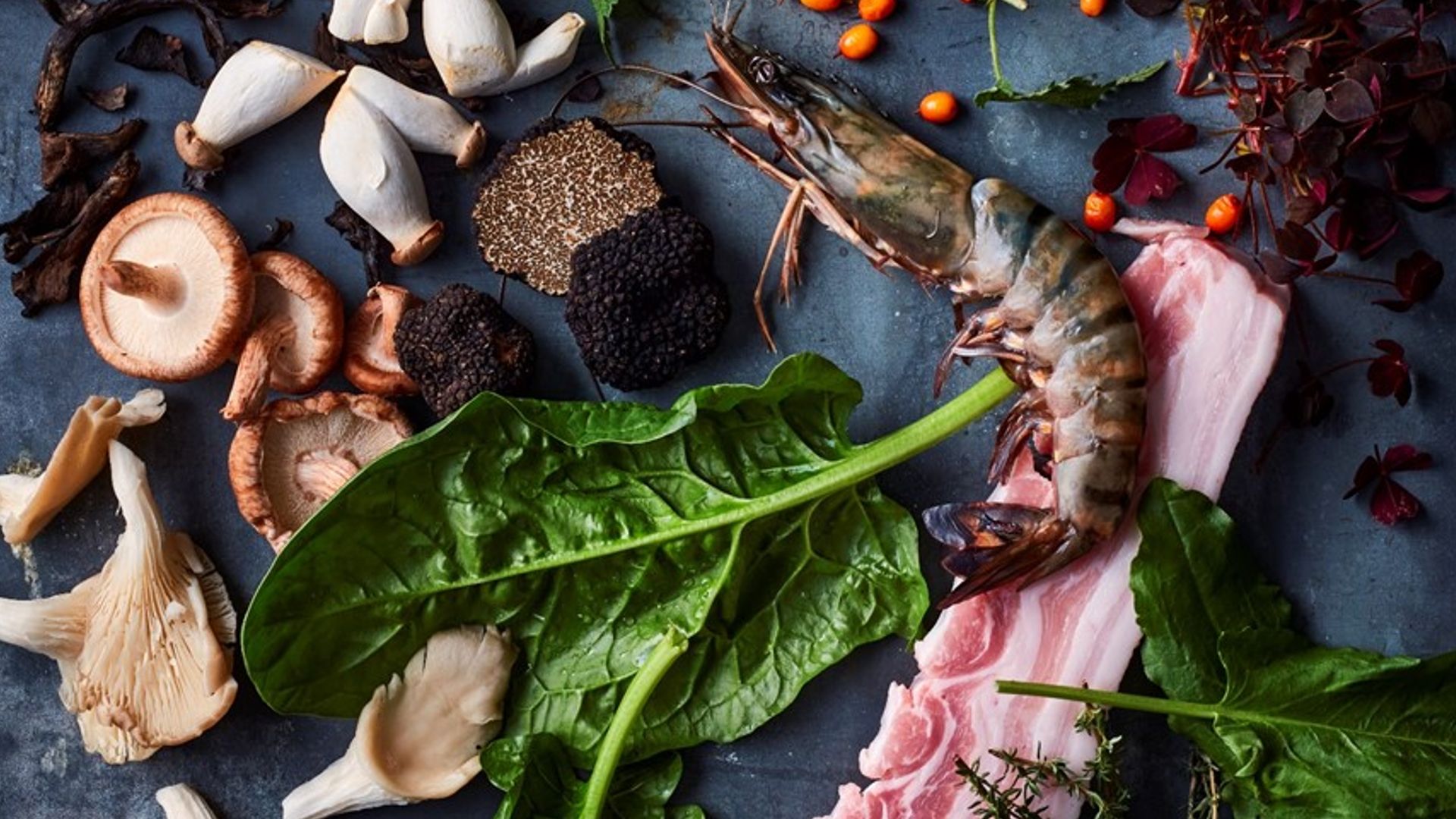 A selection of food including mushrooms, crustaceans and herbs