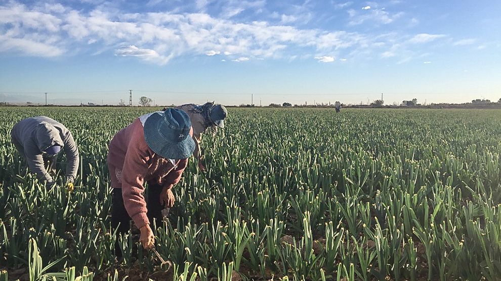 Photo by Unilever employee Guido Ast, Argentina