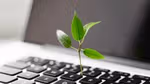 Computer keyboard with a green sapling growing in between the keys