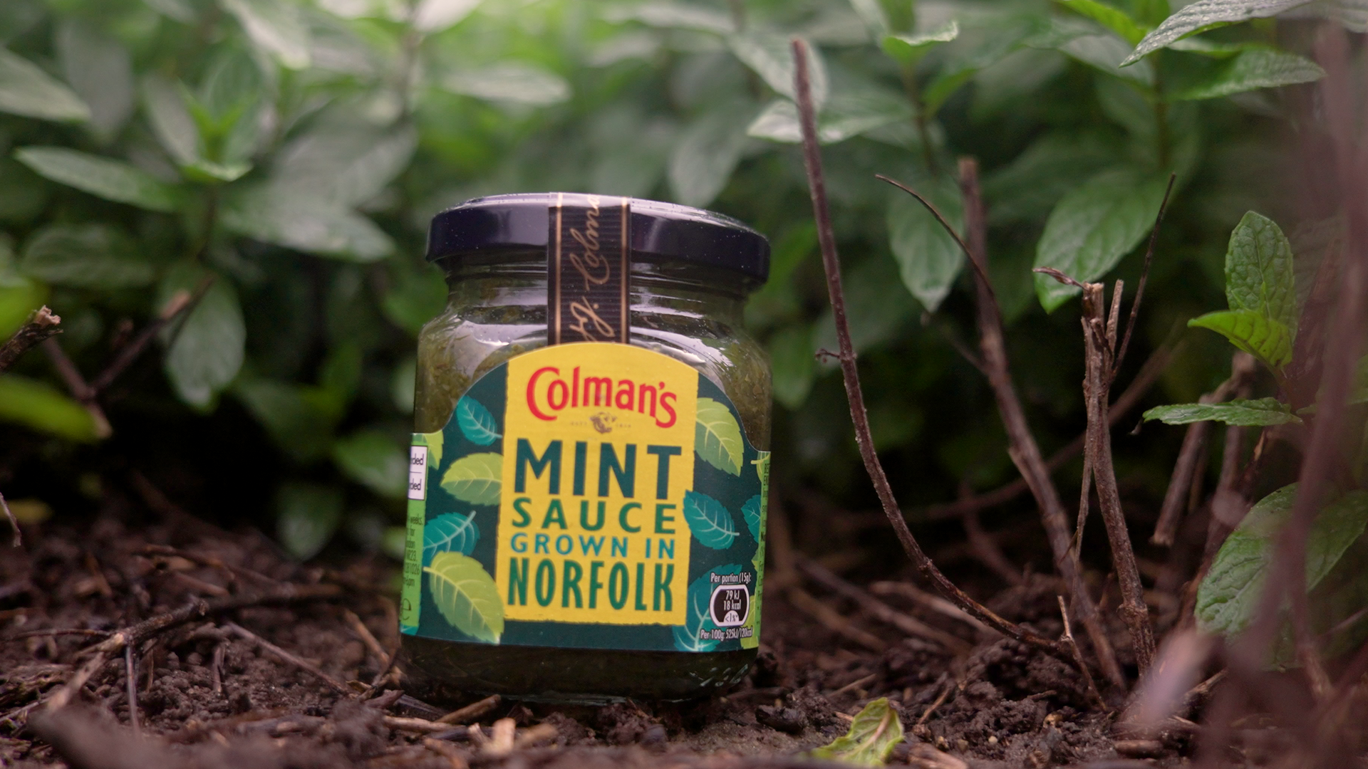 A jar of Colman’s mint sauce in front of green plants.