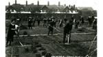 Port Sunlight allotments