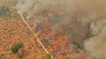 Smoke engulfed Amazon rainforest