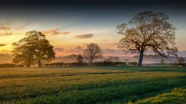 Field in country side