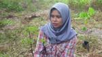 A photograph of a young woman in a headdress kneeling to plant the sapling in her hands, as part of community restoration project in Central Kalimantan, Indonesia.