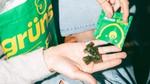 Green gummy supplements resting in an open hand, with more gummies being poured from a small Grüns packet; a larger Grüns pouch is also visible.