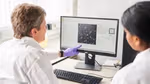Two scientists look at a computer screen in Unilever’s Safety & Environmental Assurance Centre