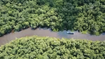 Boat on river moving through tropical forest.