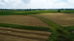 An agricultural field under a cloudy sky.