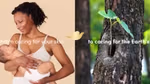 A mother cradles her baby. Next to her is an image of a green shoot growing from a tree.