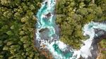 Forest river