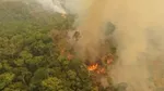 Arial photo of a fire in the Amazon rainforest