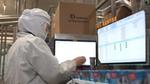 Factory worker wearing protective equipment conducting quality checks on Cornetto ice creams