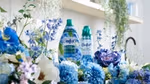 A bottle of Comfort Botanicals and Comfort Elixir – both in blue packaging – on a work surface surrounded by blue and white flowers.
