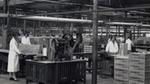 People working in a Lifebuoy factory