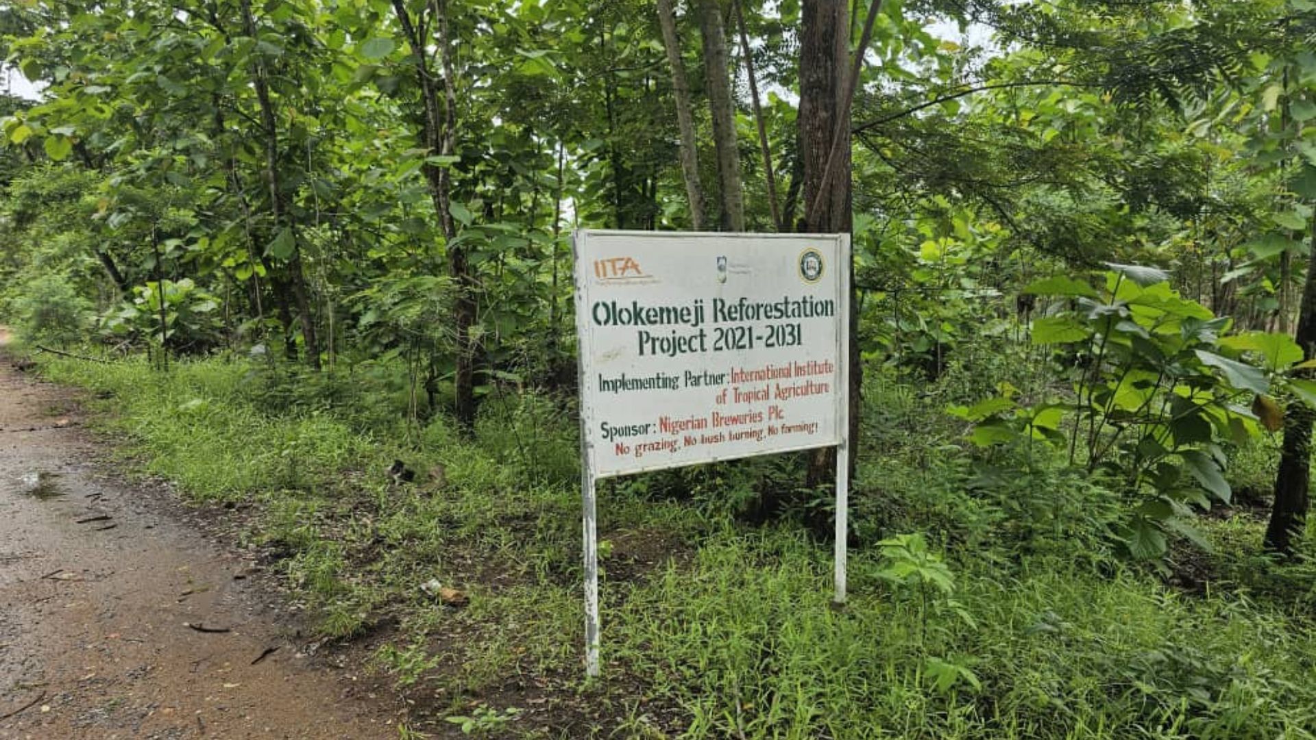 Signboard for the Olokemeji Reforestation Project 2021–2031 standing beside a lush green forest path