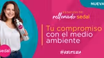 Sedal advertisement with text that reads “Your commitment to the environment #Reuse”.
