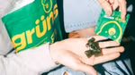 Green gummy supplements resting in an open hand, with more gummies being poured from a small Grüns packet; a larger Grüns pouch is visible in the background.