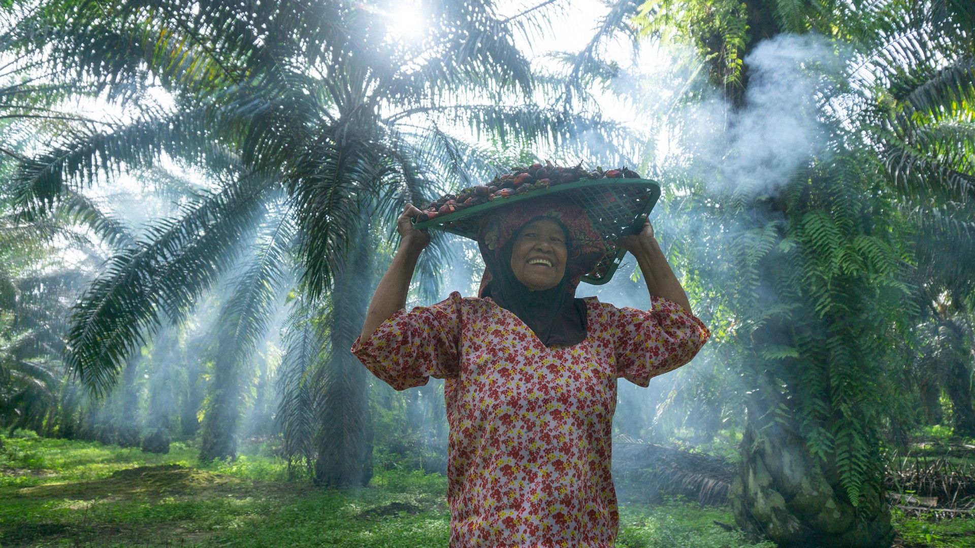 A smiling woman carrying a basket of harvested palm fruit on her head in a sunlit palm plantation.