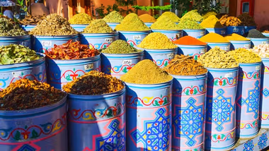 A collection of spices