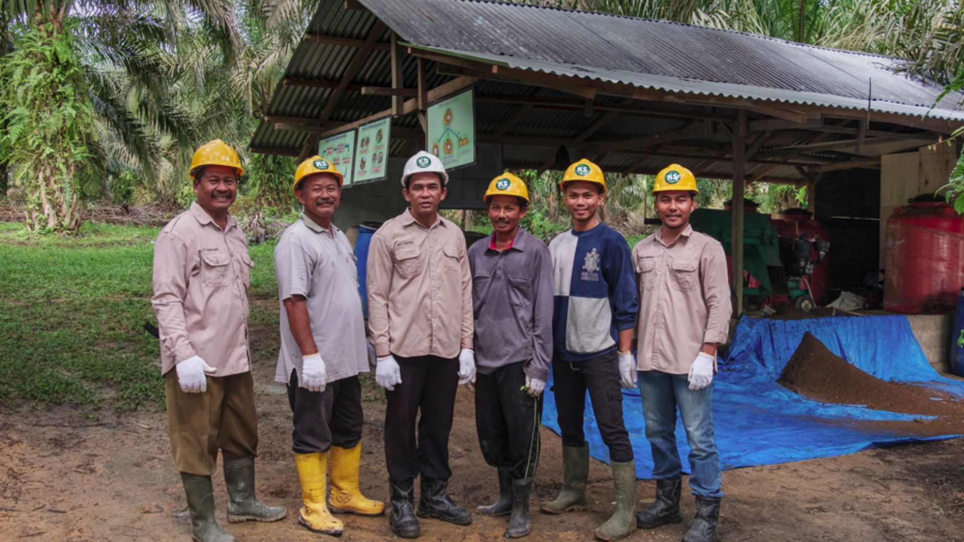 A photograph of a group of smallholder farmers at a training event in Riau, Indonesia. They are wearing gloves, hats and boots and there is a shelter and palm trees in the background.