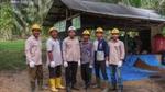 A photograph of a group of smallholder farmers at a training event in Riau, Indonesia. They are wearing gloves, hats and boots and there is a shelter and palm trees in the background.