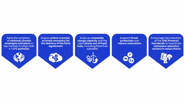 graphic describing Unilever’s five advocacy aims