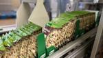 Knorr products in boxes on a factory line