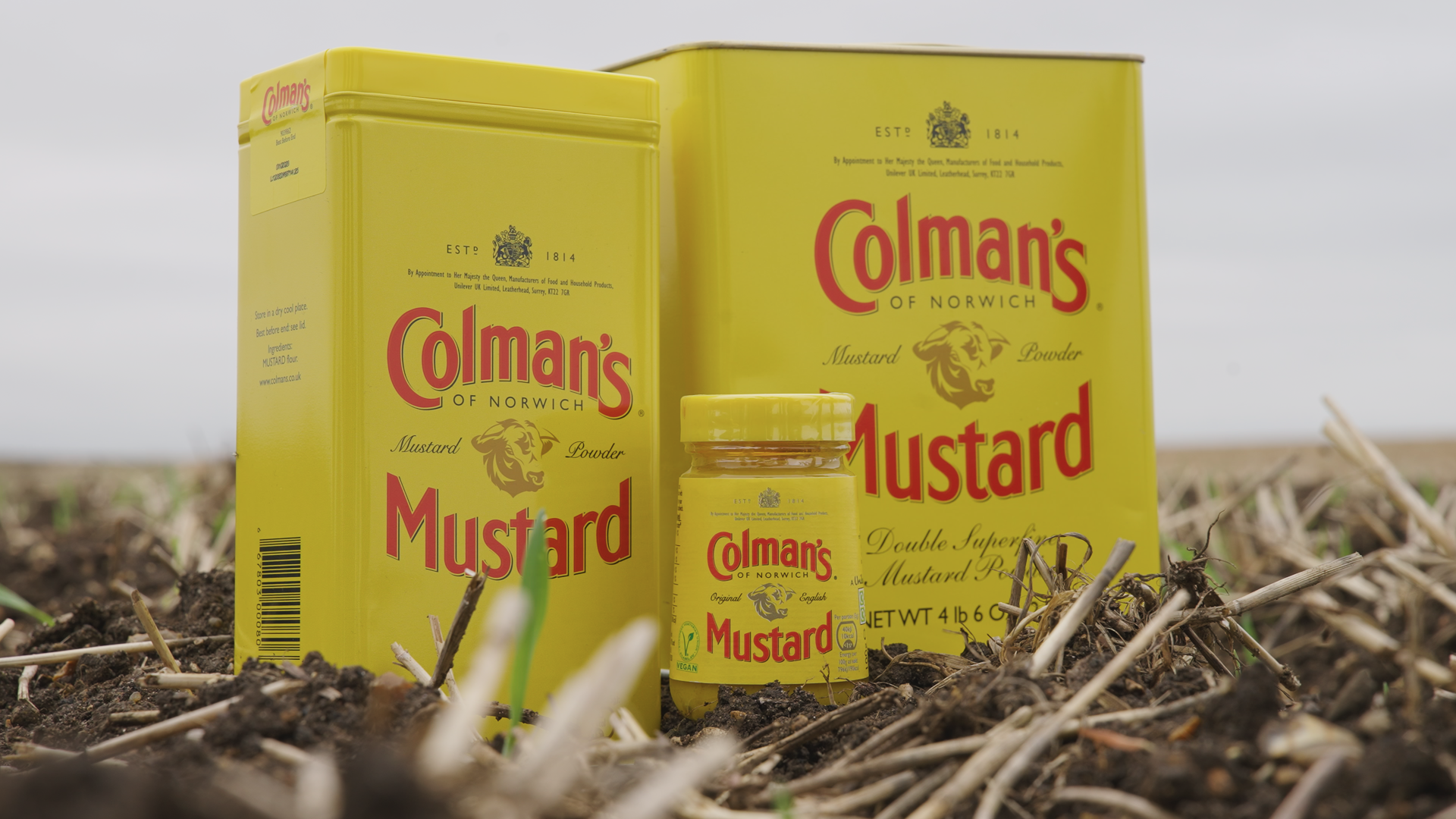 An image of two tins of Colman’s mustard powder and a jar of mustard photographed in a field.