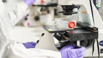 A close up photo of a scientist in one of Unilever's lab using a microscope and wearing purple surgical gloves.